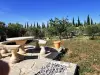Grand terrain de la vente de notre maison d'hôte - gîte à vendre avec piscine à Perpignan (25).webp